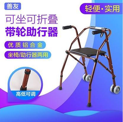 Picture of 轻便辅助行走器